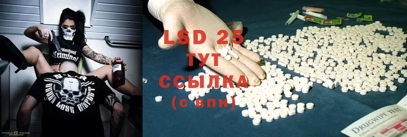 дарнет шоп  Буй  LSD-25 экстази ecstasy 